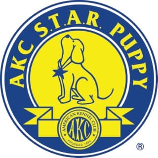 AKC S.T.A.R. Puppy: our trainers are approved evaluators AKC S.T.A.R. Puppy: our trainers are approved evaluators