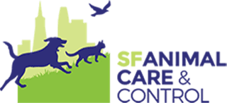 SF Animal Care & Control, an organization we work with SF Animal Care & Control, an organization we work with